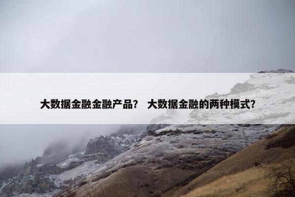 大数据金融金融产品？ 大数据金融的两种模式？