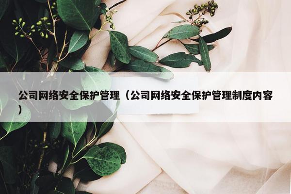 公司网络安全保护管理（公司网络安全保护管理制度内容）