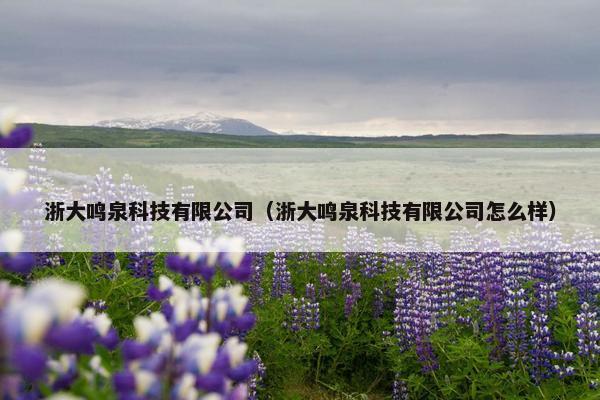 浙大鸣泉科技有限公司（浙大鸣泉科技有限公司怎么样）
