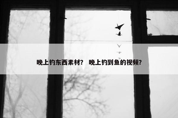 晚上钓东西素材？ 晚上钓到鱼的视频？