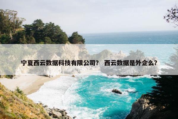 宁夏西云数据科技有限公司？ 西云数据是外企么？