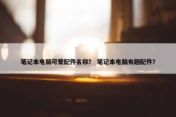 笔记本电脑可爱配件名称？ 笔记本电脑有趣配件？