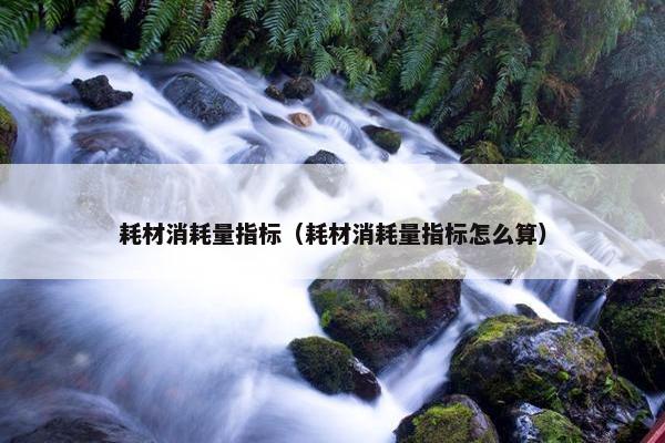 耗材消耗量指标（耗材消耗量指标怎么算）