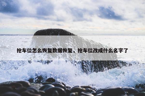 抢车位怎么恢复数据恢复，抢车位改成什么名字了