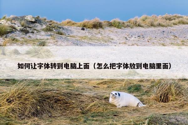 如何让字体转到电脑上面（怎么把字体放到电脑里面）