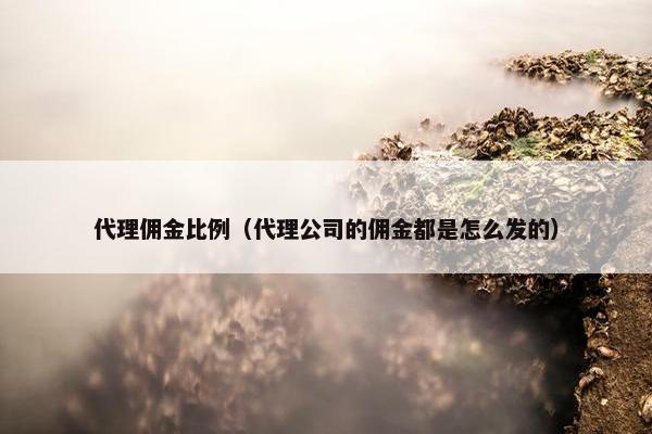 代理佣金比例（代理公司的佣金都是怎么发的）
