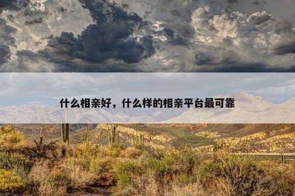 什么相亲好，什么样的相亲平台最可靠