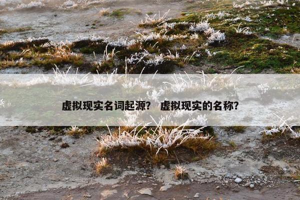 虚拟现实名词起源？ 虚拟现实的名称？
