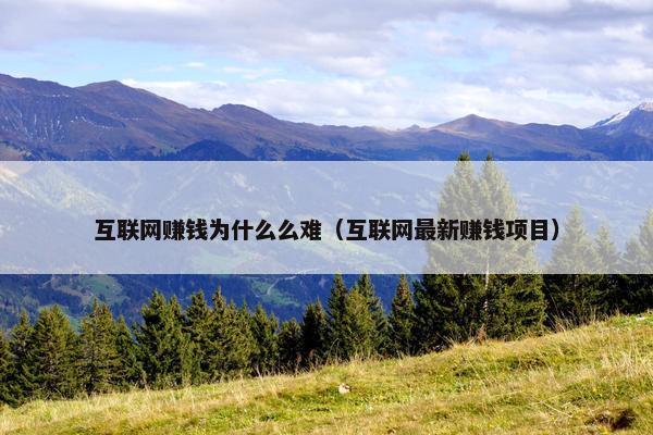 互联网赚钱为什么么难（互联网最新赚钱项目）