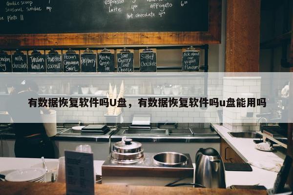 有数据恢复软件吗U盘，有数据恢复软件吗u盘能用吗
