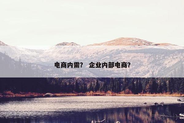 电商内需？ 企业内部电商？