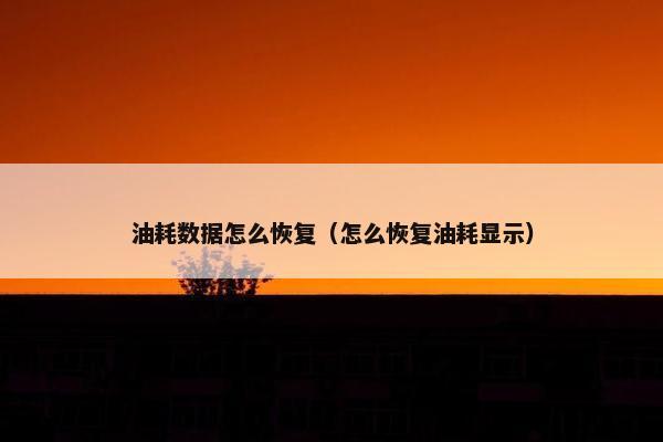 油耗数据怎么恢复（怎么恢复油耗显示）