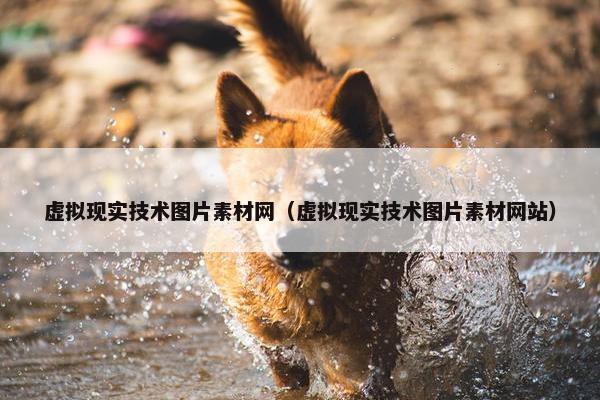 虚拟现实技术图片素材网（虚拟现实技术图片素材网站）