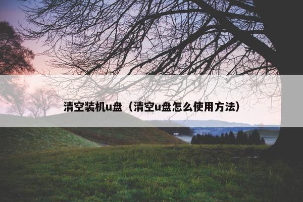 清空装机u盘（清空u盘怎么使用方法）