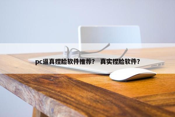 pc逼真捏脸软件推荐？ 真实捏脸软件？