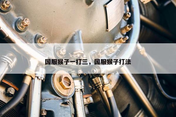 国服猴子一打三，国服猴子打法