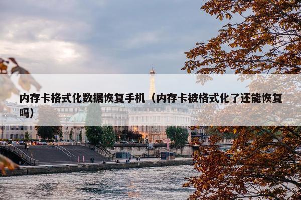 内存卡格式化数据恢复手机（内存卡被格式化了还能恢复吗）
