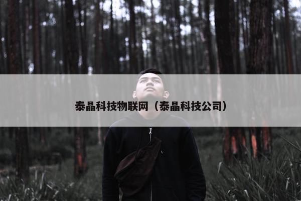 泰晶科技物联网（泰晶科技公司）