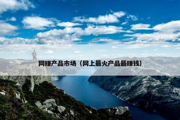 网赚产品市场（网上最火产品最赚钱）