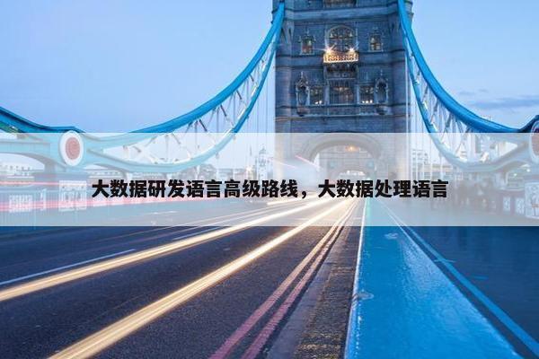 大数据研发语言高级路线，大数据处理语言