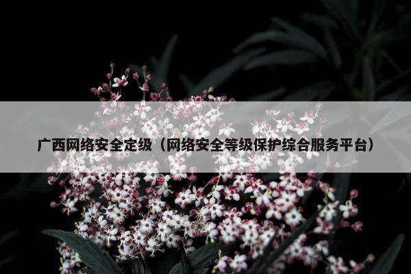 广西网络安全定级（网络安全等级保护综合服务平台）