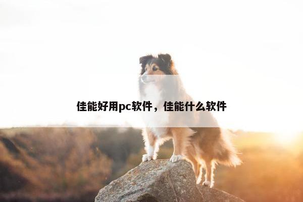 佳能好用pc软件，佳能什么软件