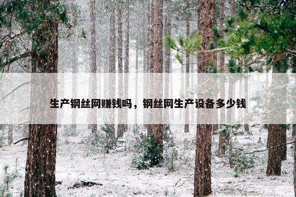 生产钢丝网赚钱吗，钢丝网生产设备多少钱