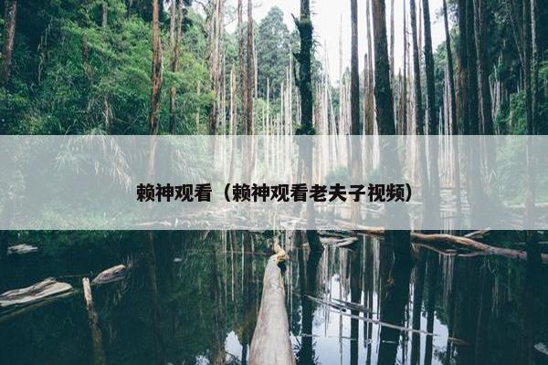 赖神观看（赖神观看老夫子视频）