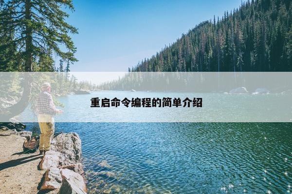 重启命令编程的简单介绍