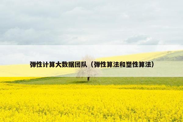 弹性计算大数据团队（弹性算法和塑性算法）