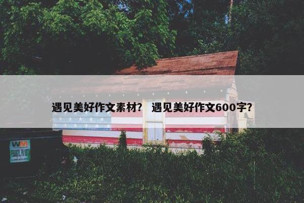 遇见美好作文素材？ 遇见美好作文600字？