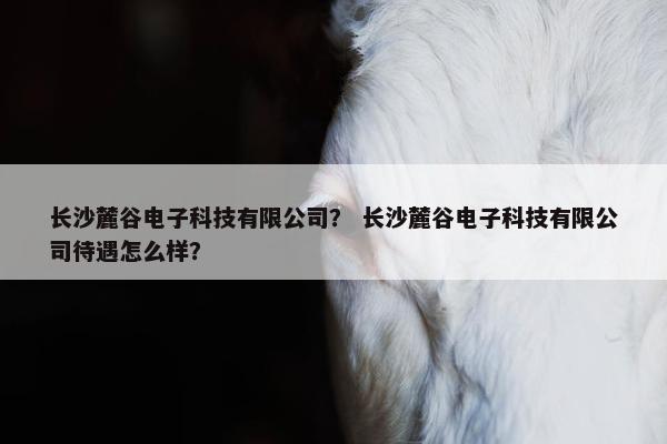 长沙麓谷电子科技有限公司？ 长沙麓谷电子科技有限公司待遇怎么样？