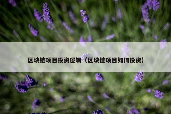 区块链项目投资逻辑（区块链项目如何投资）