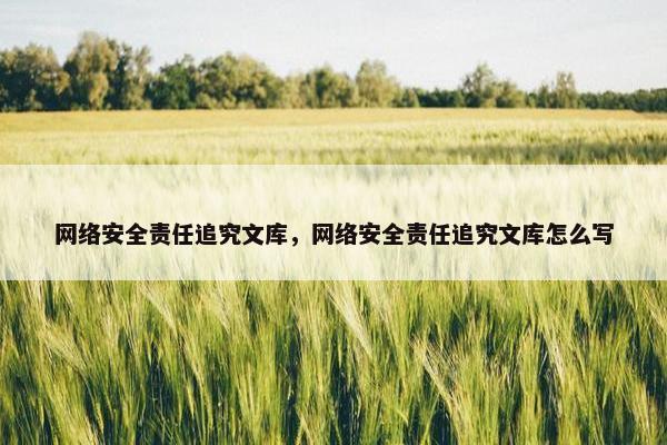 网络安全责任追究文库，网络安全责任追究文库怎么写