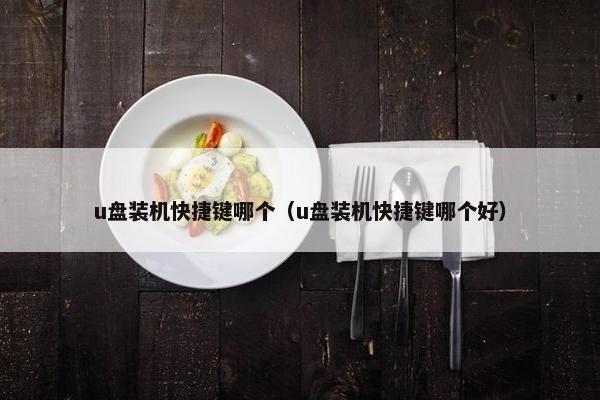 u盘装机快捷键哪个（u盘装机快捷键哪个好）