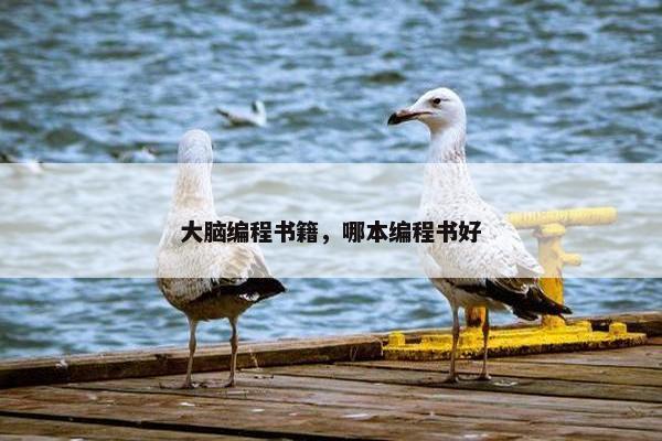 大脑编程书籍，哪本编程书好