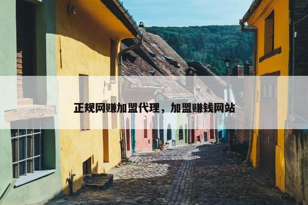 正规网赚加盟代理，加盟赚钱网站