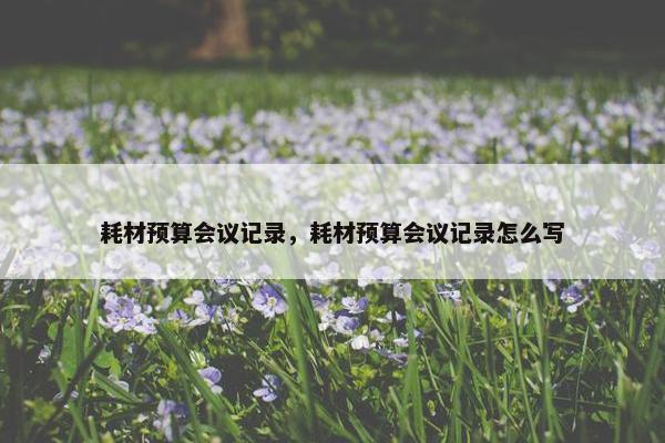 耗材预算会议记录，耗材预算会议记录怎么写