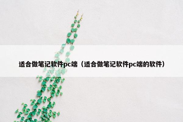 适合做笔记软件pc端（适合做笔记软件pc端的软件）