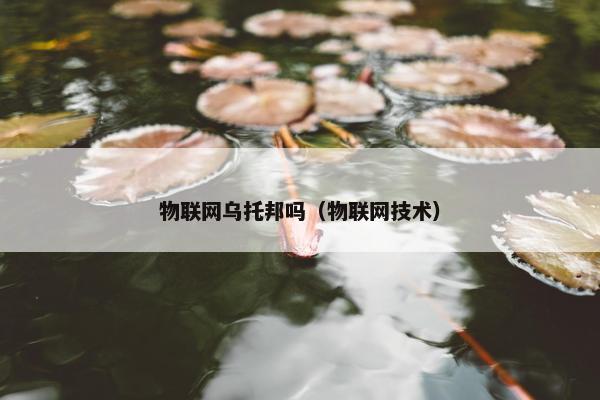 物联网乌托邦吗（物联网技术）