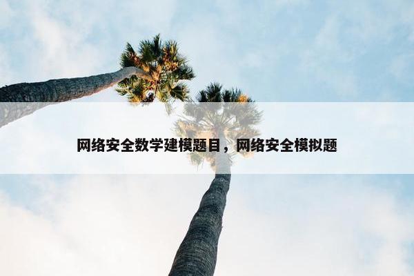 网络安全数学建模题目，网络安全模拟题