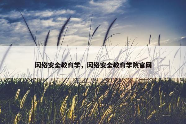 网络安全教育学，网络安全教育学院官网