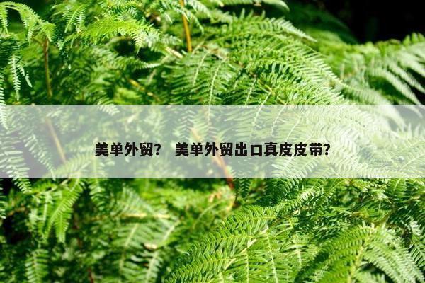美单外贸？ 美单外贸出口真皮皮带？