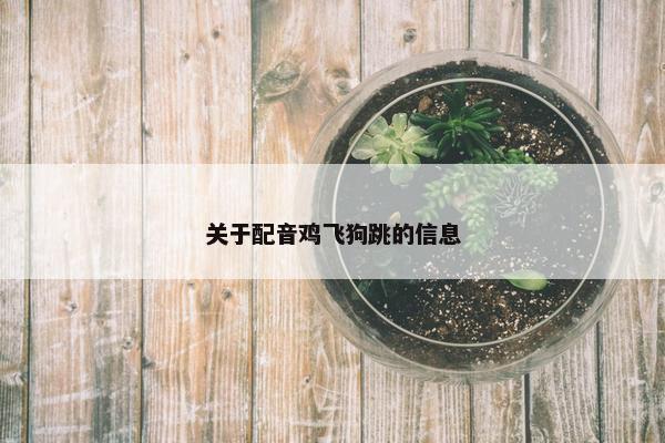 关于配音鸡飞狗跳的信息