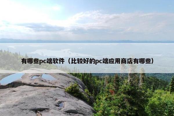 有哪些pc端软件（比较好的pc端应用商店有哪些）