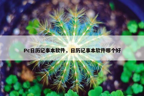 Pc日历记事本软件，日历记事本软件哪个好