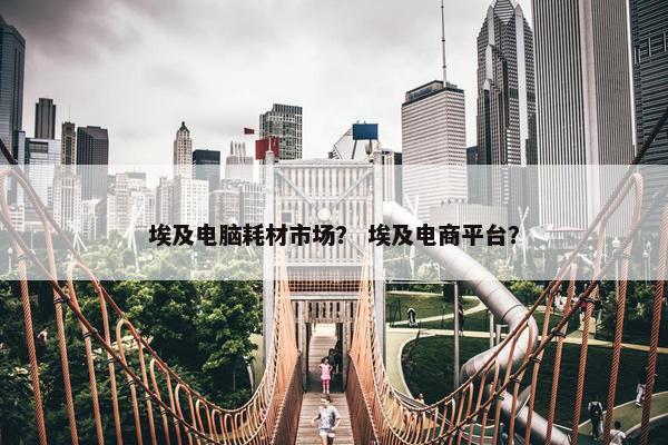 埃及电脑耗材市场？ 埃及电商平台？