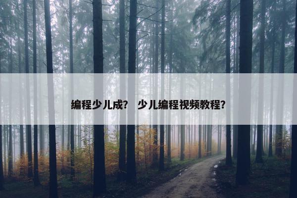 编程少儿成？ 少儿编程视频教程？