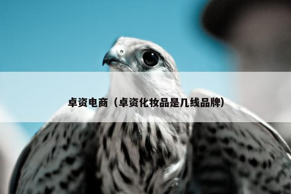 卓资电商（卓资化妆品是几线品牌）