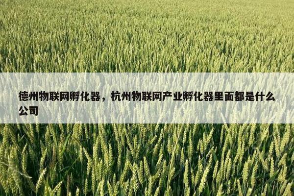 德州物联网孵化器，杭州物联网产业孵化器里面都是什么公司